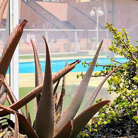 Sun Days Corralejo Irent Fuerteventura Apartment Ngoại thất bức ảnh